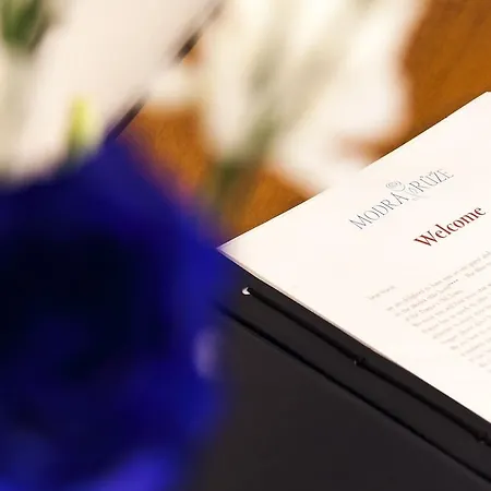 Aparthotel The Botanist 4*